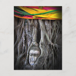 Carte Postale Bouddha Et Le Bouddhisme Arbre Thaïlande Photograp