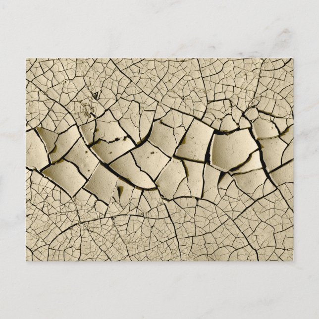 Carte Postale Boue séchée (Devant)