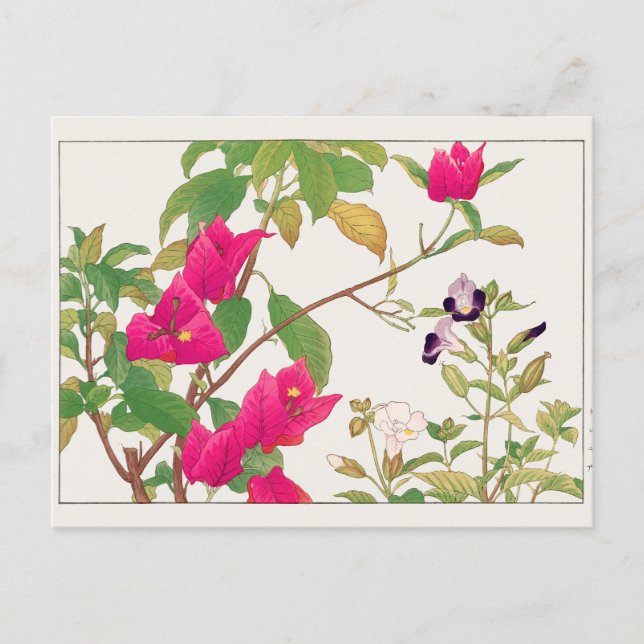 Carte Postale Bougainville, Fleur de Wishbone par Tanigami Konan (Devant)