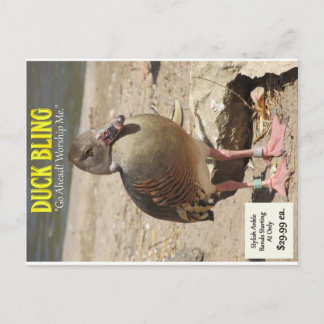 Carte Postale Boule de canard