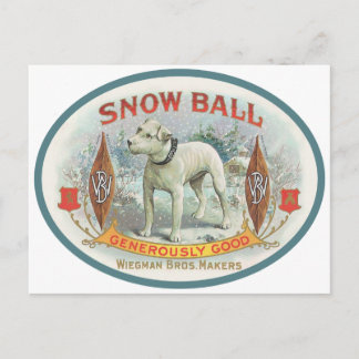 Carte Postale Boule de neige du chien