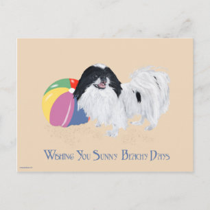 Carte Postale Boule de plage japonaise Chin