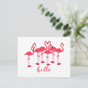 Carte Postale Boule Rose De Flamants roses "Bonjour"