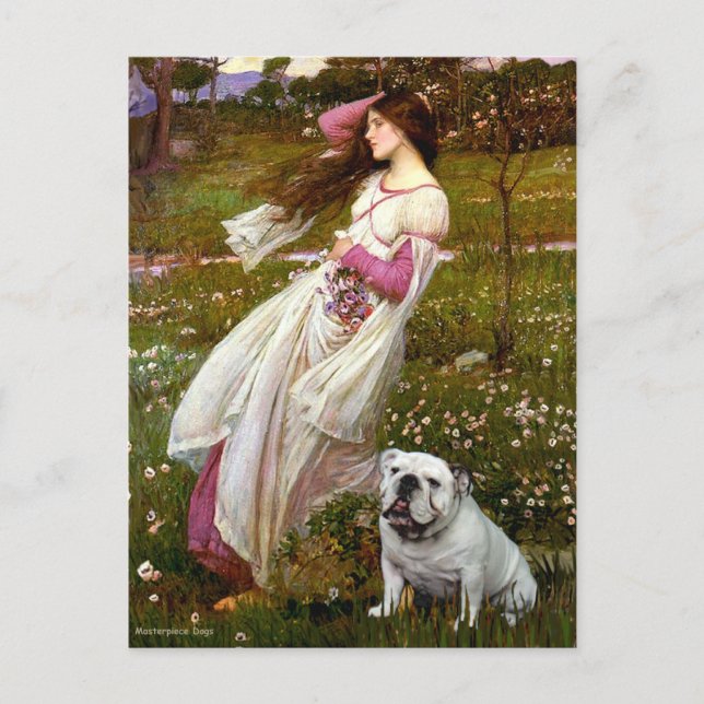 Carte Postale Bouledogue anglais 9 - Anémones (Devant)