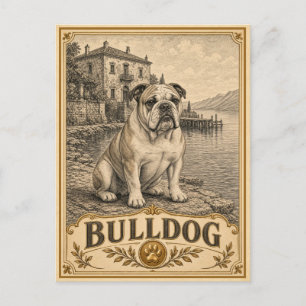Carte Postale Bouledogue, Collection Patrimoine Vintage