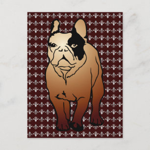 Carte Postale Bouledogue français