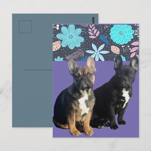 Carte postale Bouledogue français (Devant / Derrière)