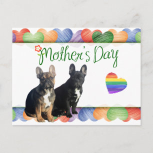 Carte Postale Bouledogue français cœur coloré French Bulldog