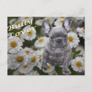Carte Postale Bouledogue français coeur French Bulldog