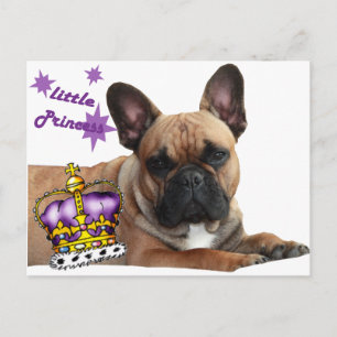 Carte Postale Bouledogue français Couronne French Bulldog