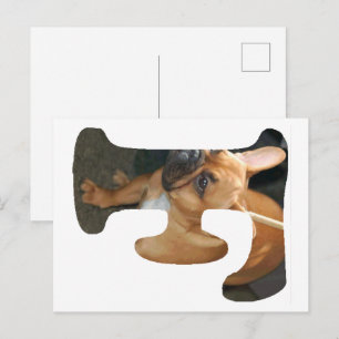 Carte Postale Bouledogue français en F