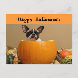 Carte Postale Bouledogue français Halloween