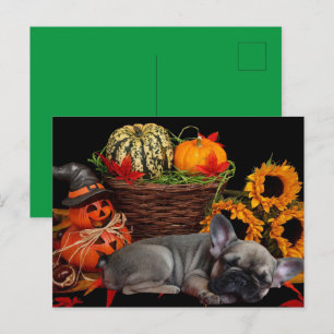 Carte Postale Bouledogue français Halloween French Bulldog
