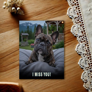 Carte postale Bouledogue français Je vous manque