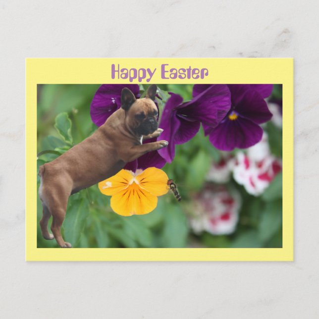 Carte Postale Bouledogue français Joyeuses Pâques Bouledogue Fra (Devant)