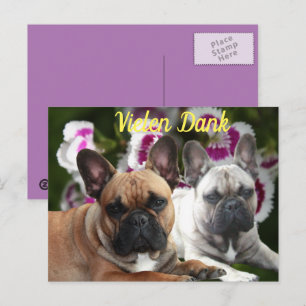 Carte Postale Bouledogue français Merci French Bulldog 
