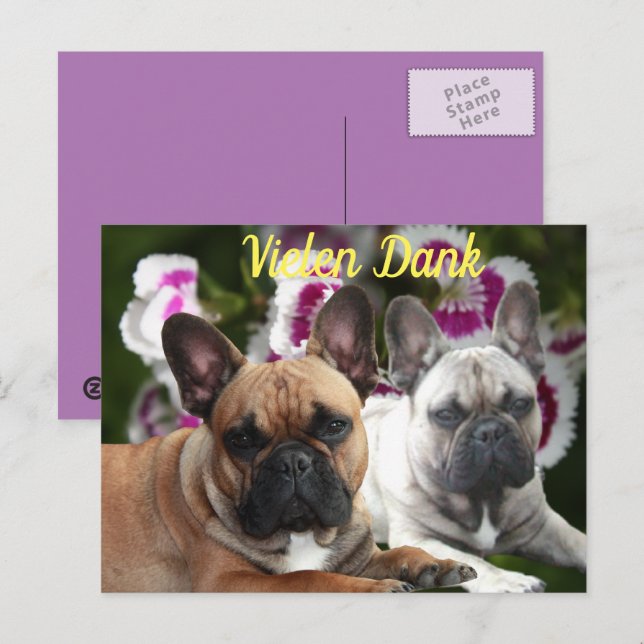 Carte Postale Bouledogue français Merci French Bulldog  (Devant / Derrière)