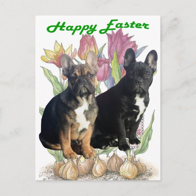Carte Postale Bouledogue français Pâques (Devant)