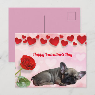 Carte Postale Bouledogue français Saint-Valentin Bouledogue fran