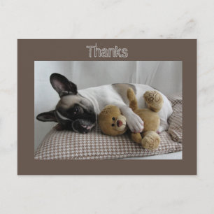 Carte Postale Bouledogue français Teddy French Bulldog