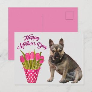 Carte Postale Bouledogue français Tulipes French Bulldog