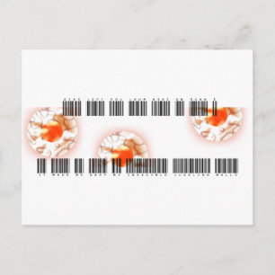 Carte Postale Boules de jonglage invisibles abandonnées