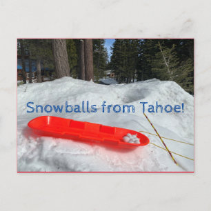 Carte Postale Boules de neige de Tahoe !