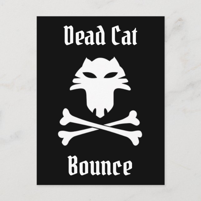 Carte Postale Bounce de chat mort (Devant)