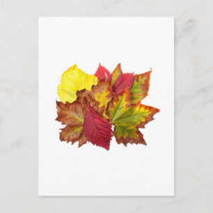 Carte Postale Bouquet d'automne