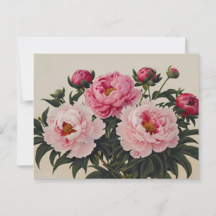 Carte Postale Bouquet de fleurs de pivoine roses en fleurs