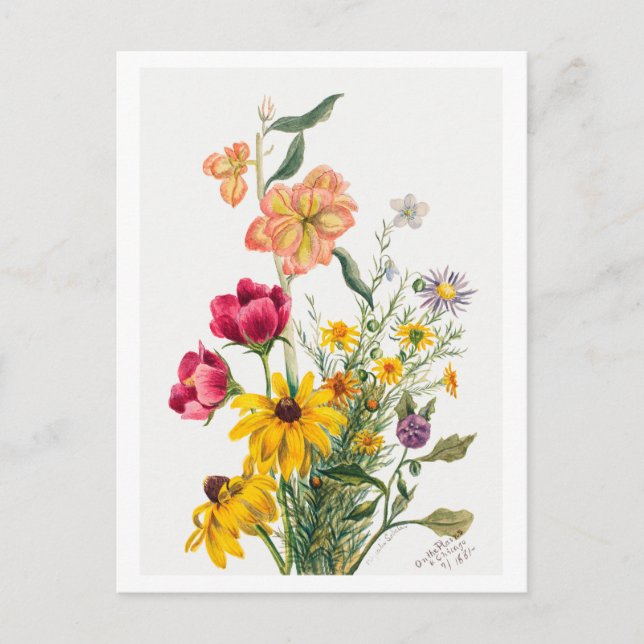 Carte Postale Bouquet de fleurs Illustration botanique (Devant)