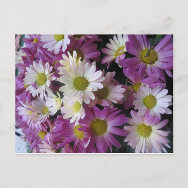 Carte Postale Bouquet de fleurs Jardin aux papillons : Cadeaux é (Devant)