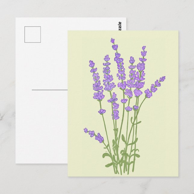 Carte Postale Bouquet de fleurs lavande. (Devant / Derrière)