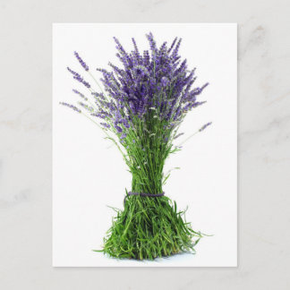 Carte Postale Bouquet de lavande