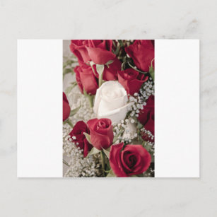 Carte Postale bouquet de roses rouges avec une rose blanche au c