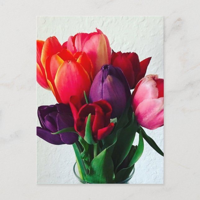 Carte Postale Bouquet de tulipes printanières (Devant)