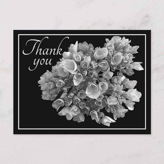 Carte Postale Bouquet d'hortensias noir et blanc pour dire merci (Devant)