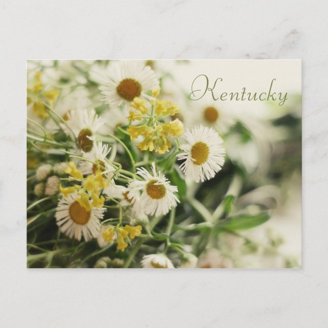 Carte Postale Bouquet fleur sauvage par JerseyFawn (Devant)