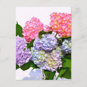 Carte Postale Bouquet Hydrangea