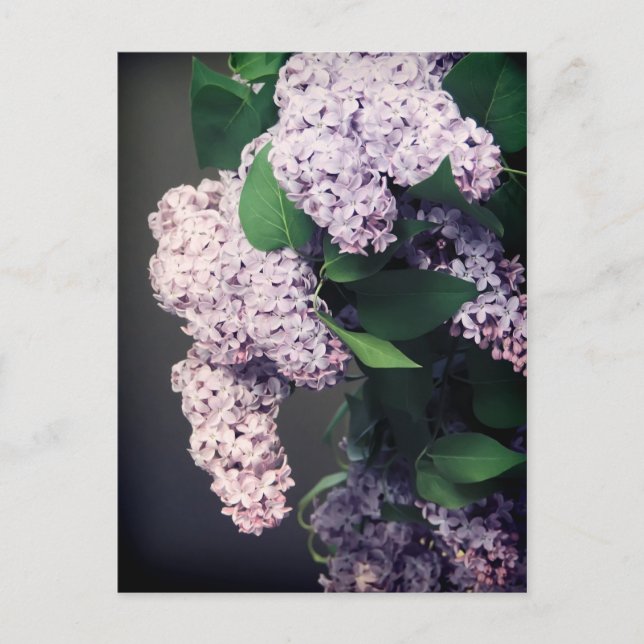 Carte Postale Bouquet Lilac avec Vignette (Devant)