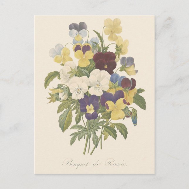 Carte Postale Bouquet Pensée Violettes Illustration de Fleur (Devant)
