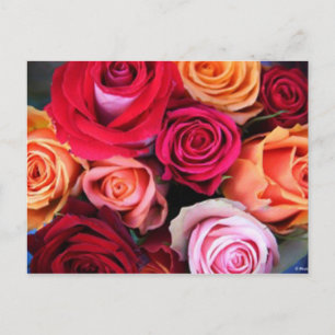 Carte postale Bouquet rose