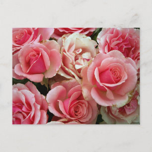 Carte Postale Bouquet Rose rose et crème Fleurs florales