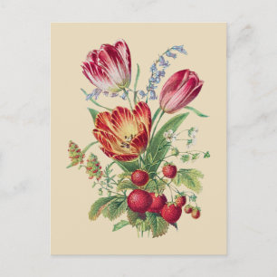 Carte Postale Bouquet - Tulipes