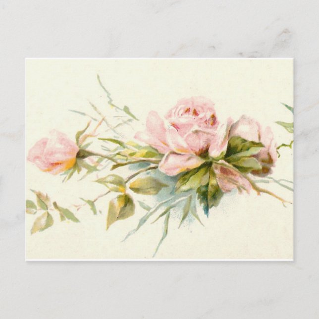 Carte Postale Bouquet Vintage Roses roses (Devant)
