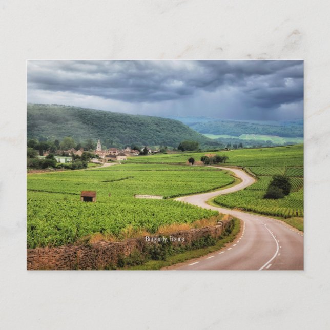 Carte Postale Bourgogne, vignobles français, (Devant)