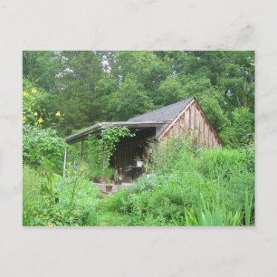 Carte Postale Boutique d'herbes de campagne