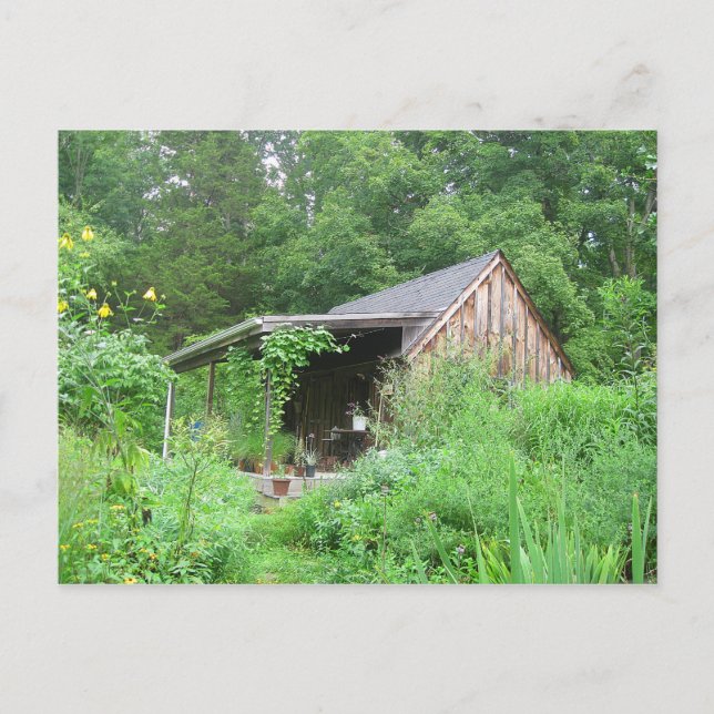 Carte Postale Boutique d'herbes de campagne (Devant)