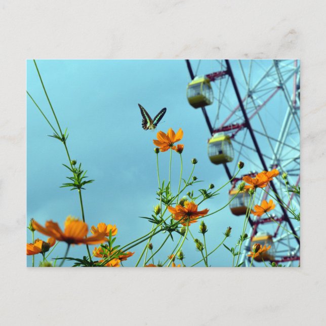 Carte Postale Bouton bleu Triangle & Fleurs Cosmos : Japon (Devant)