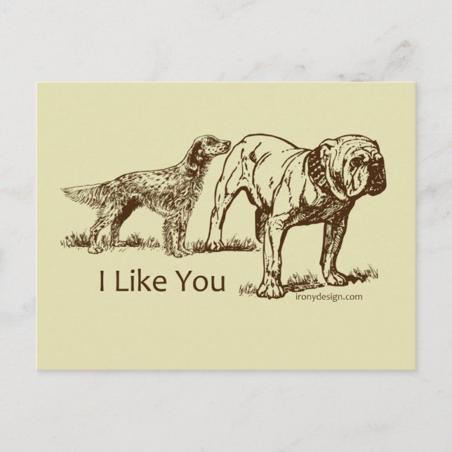 Carte Postale Bouton des nids de chien (Devant)